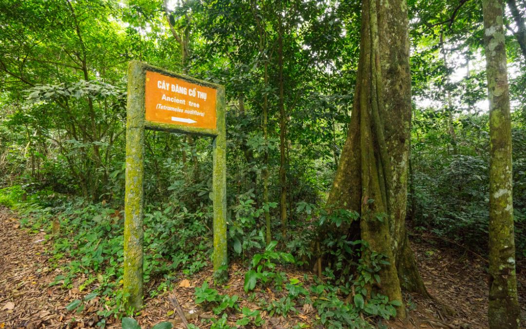 north-vietnam-trekking-4