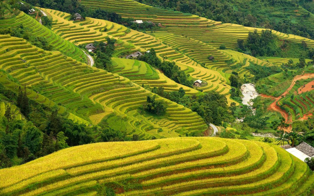 north-vietnam-trekking-5