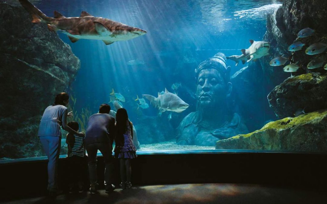 kid-friendly-places-in-bangkok-4