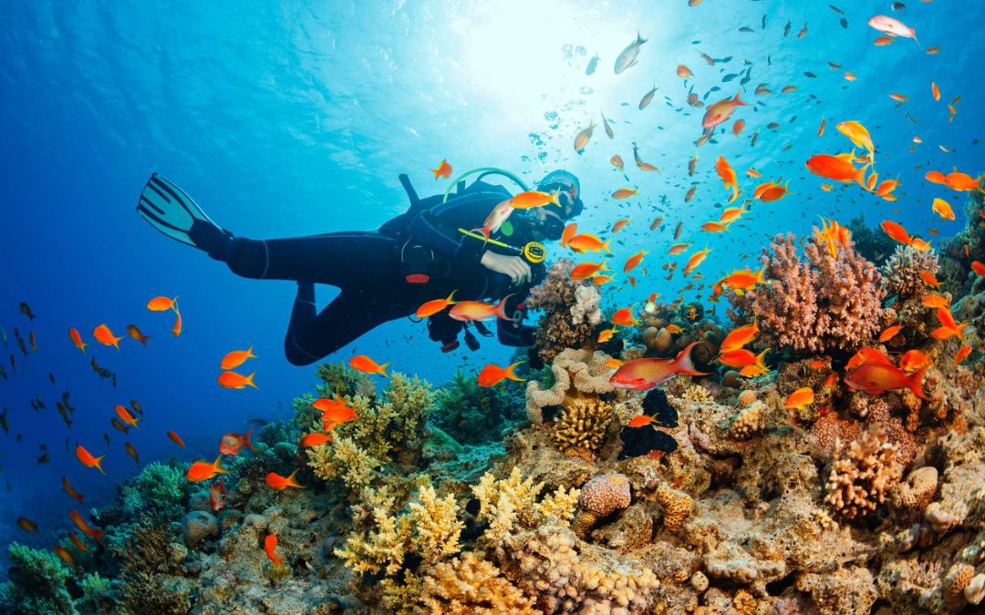 phu-quoc-or-nha-trang-3