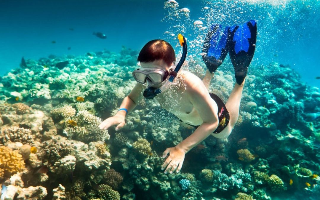 phu-quoc-or-nha-trang-6