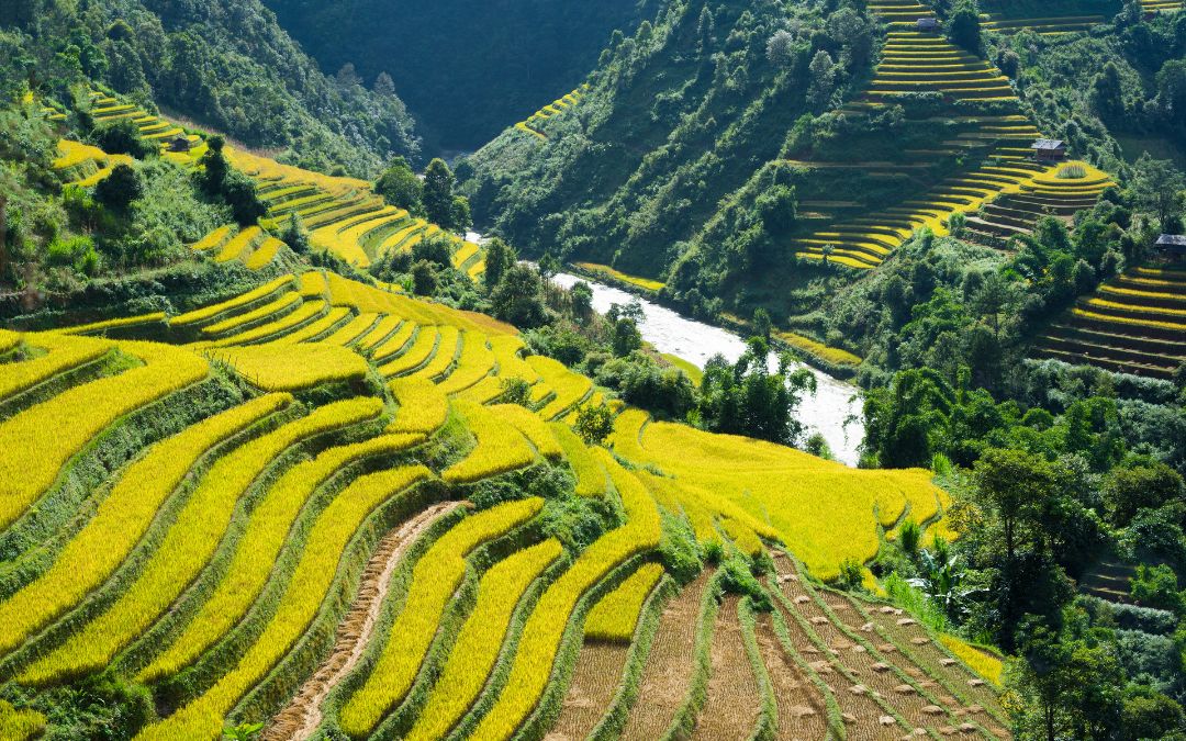 nature-tours-1