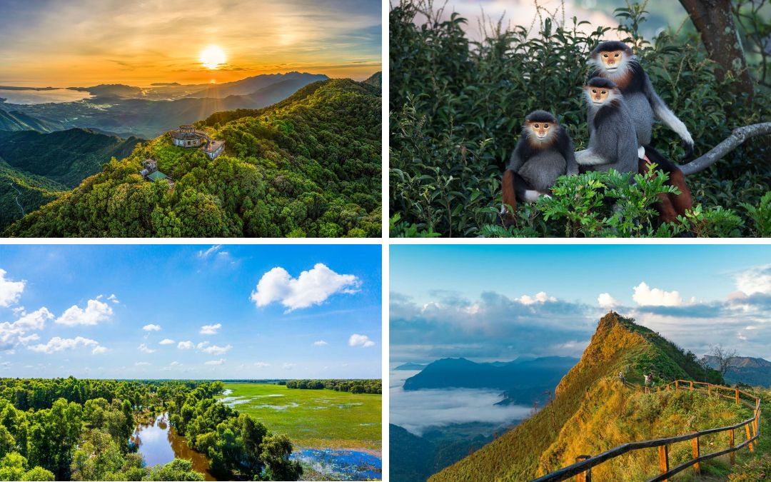 nature-tours-14