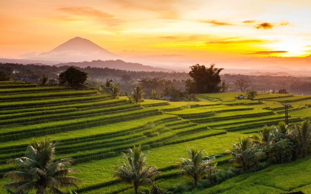 Bali-tour-packages-5