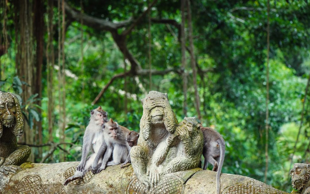 Bali-tour-packages-9