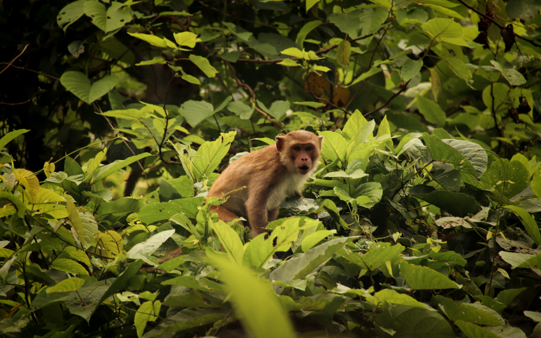 ninh-binh-itinerary-7