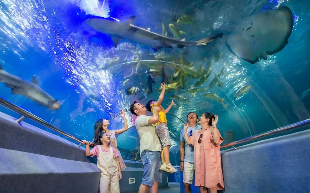 Vietnam-tourist-attraction-6