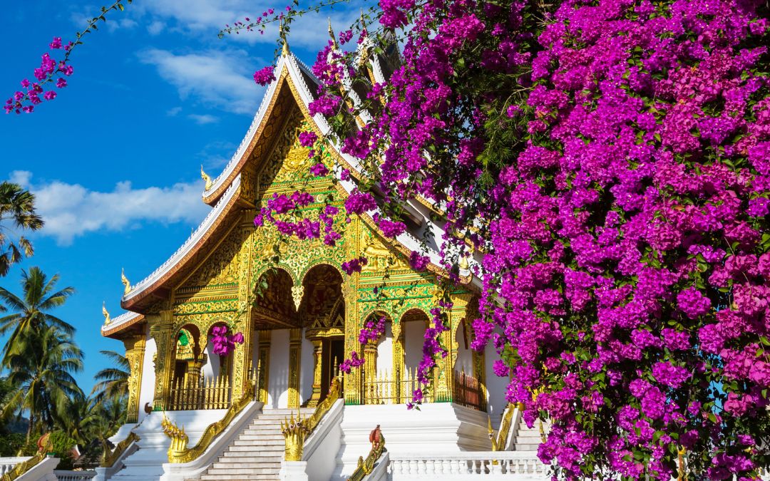 thanksgiving-destination-4-luang-prabang