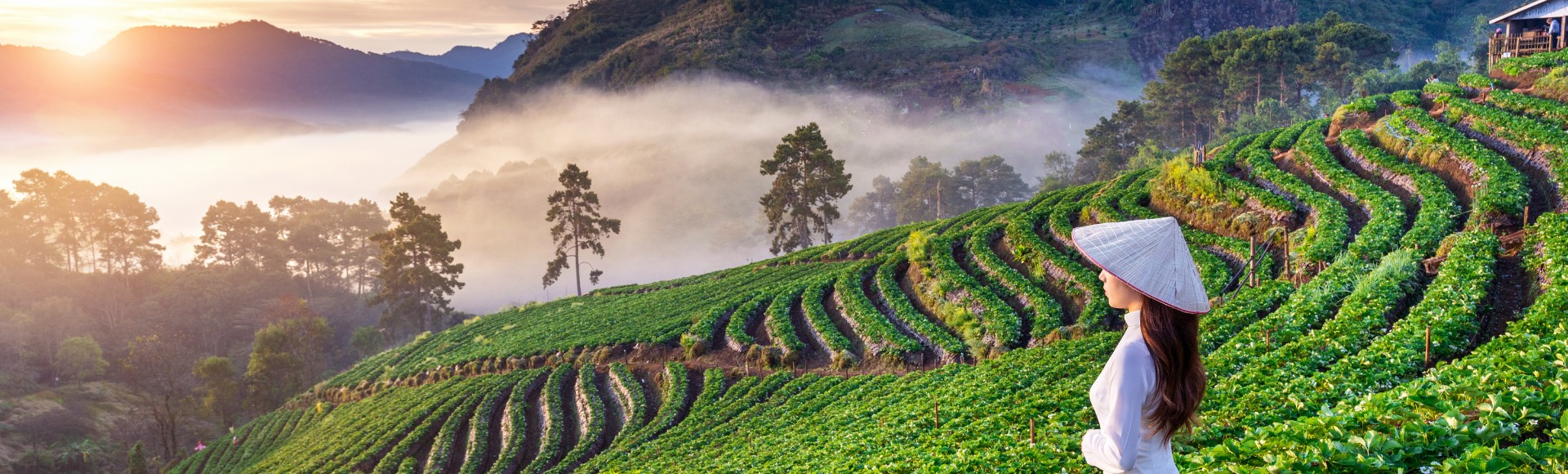 How To Explore Each Region With 5 Days In Vietnam?