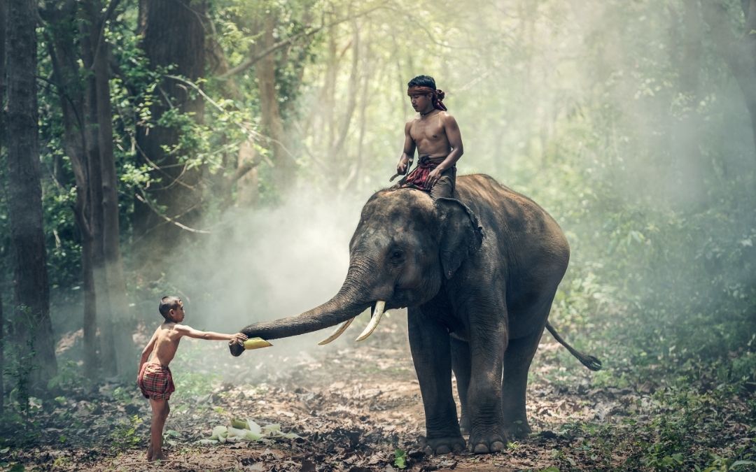 Adventure In Cambodia 15 Days