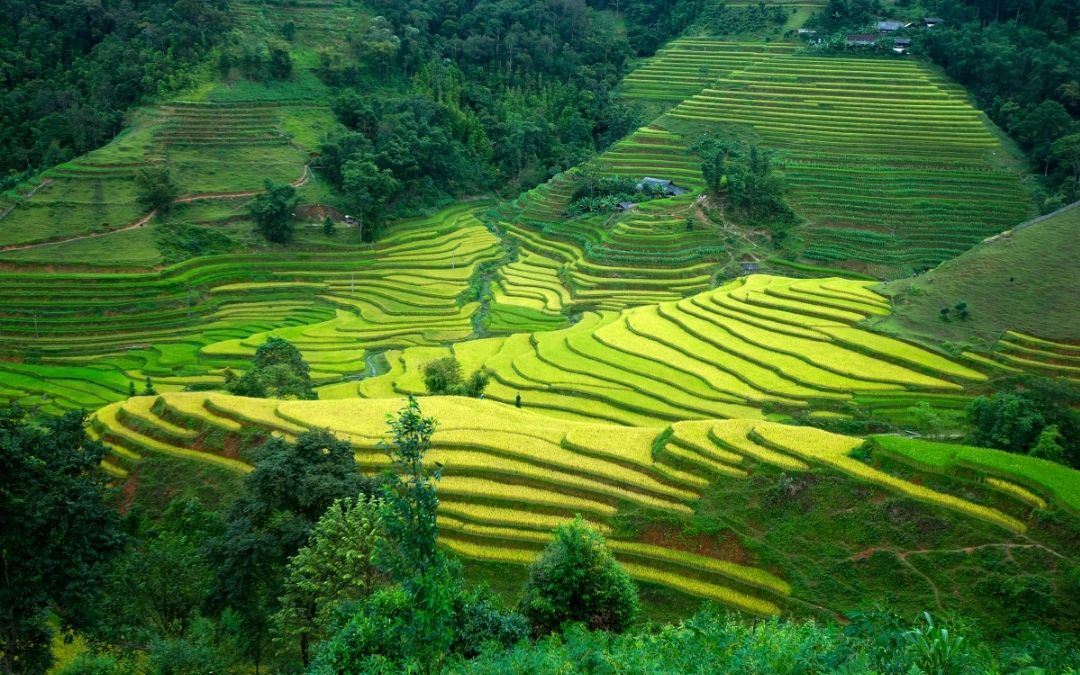 Vietnam Adventure 17 Days