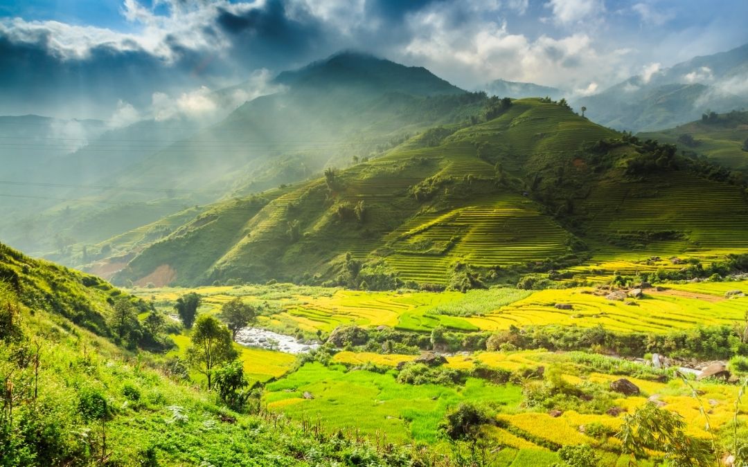 Vietnam Exploration 21 Days