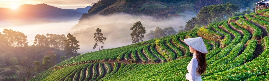 How To Explore Each Region With 5 Days In Vietnam?