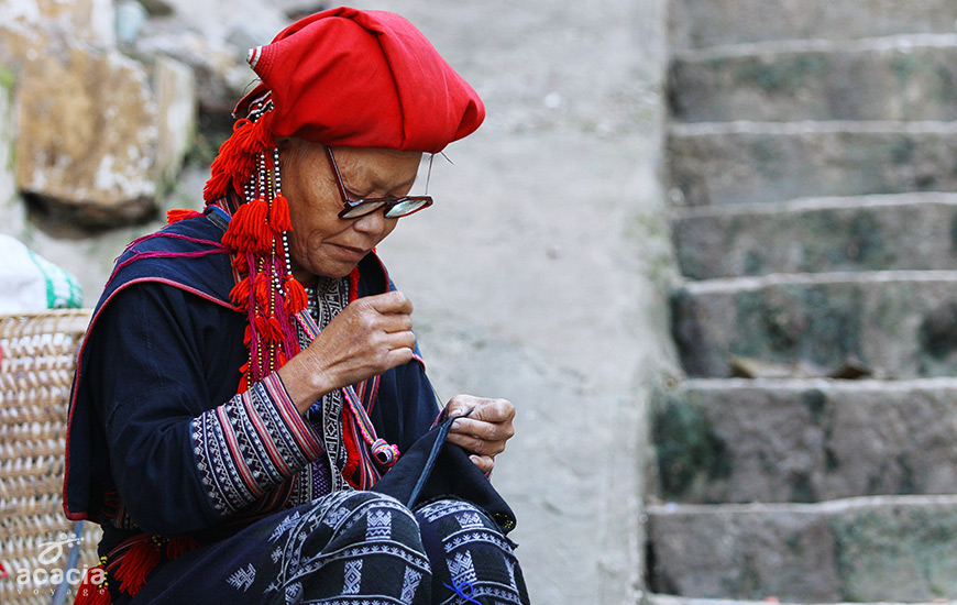 Sapa