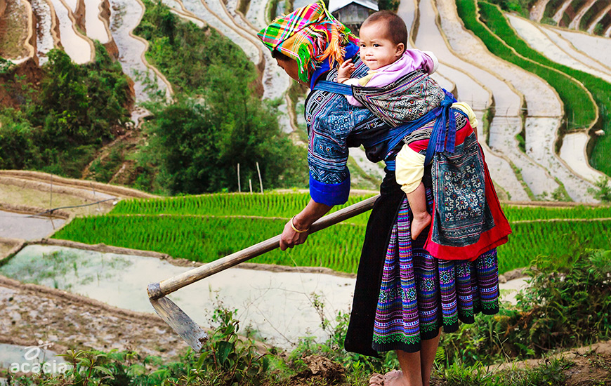Mu Cang Chai