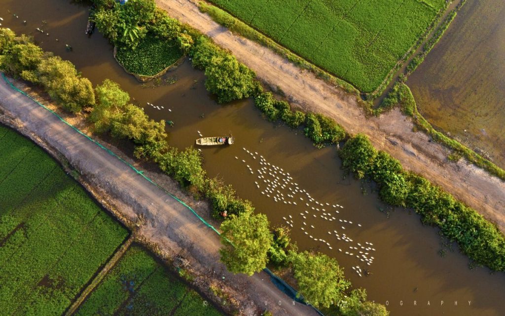 saigon-mekong-delta-tour-7