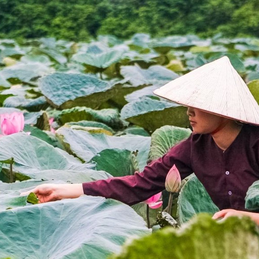 What to Do in Vietnam for 2 Weeks: The Perfect Itinerary