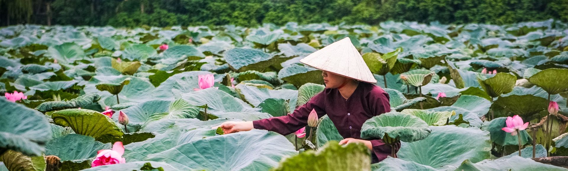 What to Do in Vietnam for 2 Weeks: The Perfect Itinerary