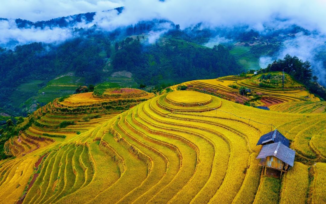 top-5-places-to-visit-in-vietnam-11-mu-cang-chai